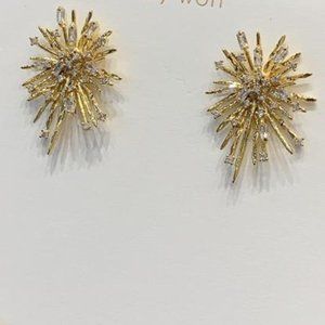Elegant Star Stud Earrings